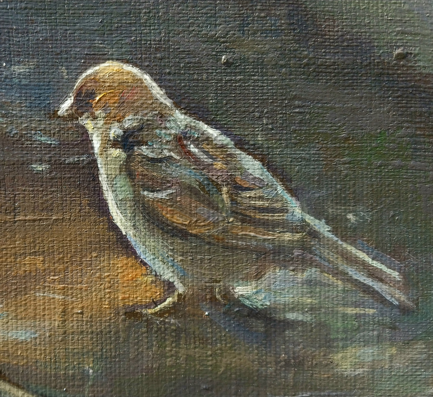 Sparrows Gathering - Kamsar Ohanyan
