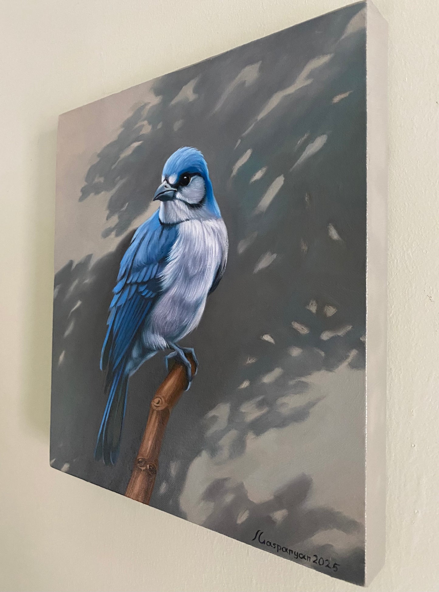 Blue Jay’s Vigil - Ara Gasparyan