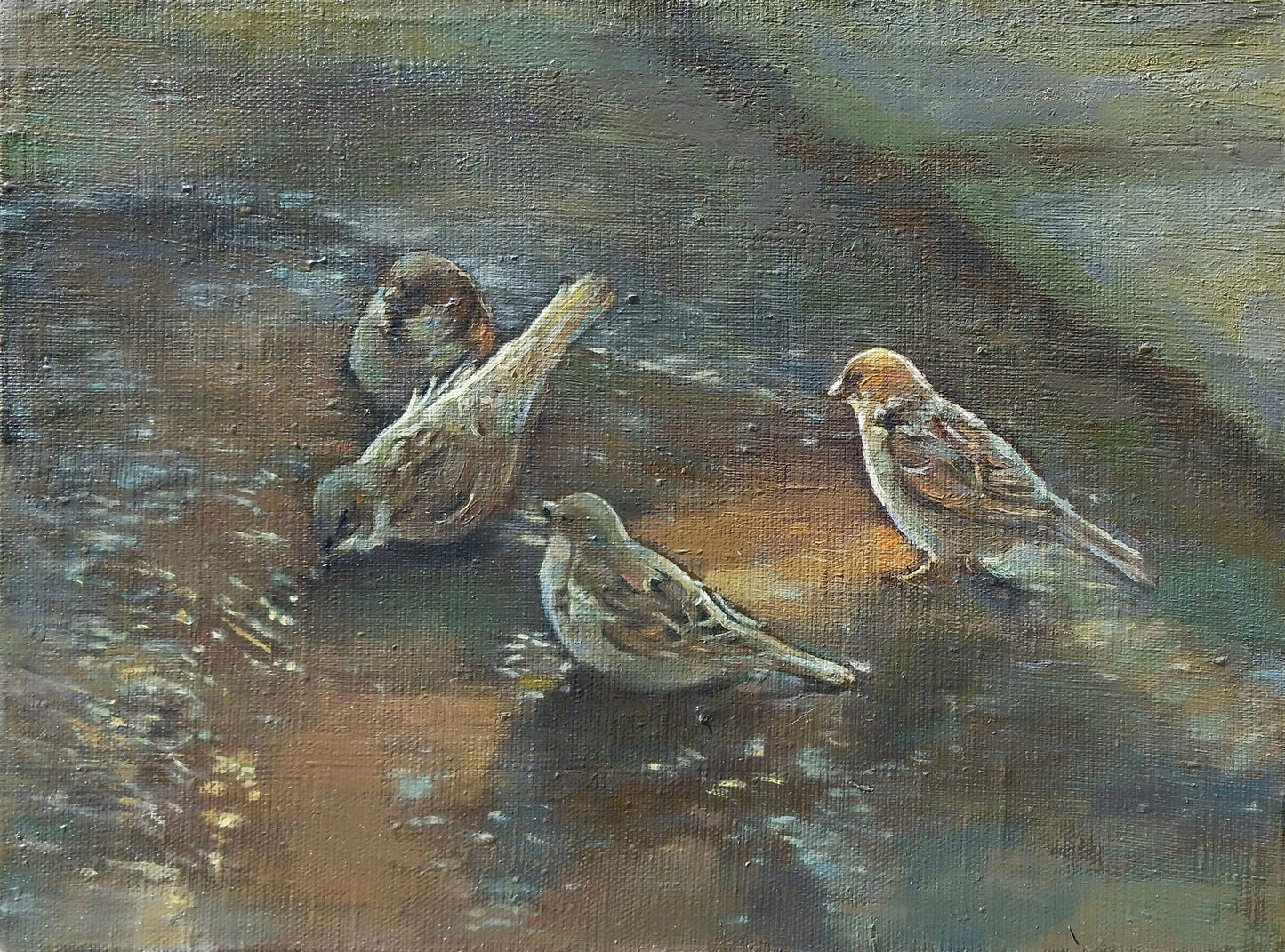 Sparrows Gathering - Kamsar Ohanyan