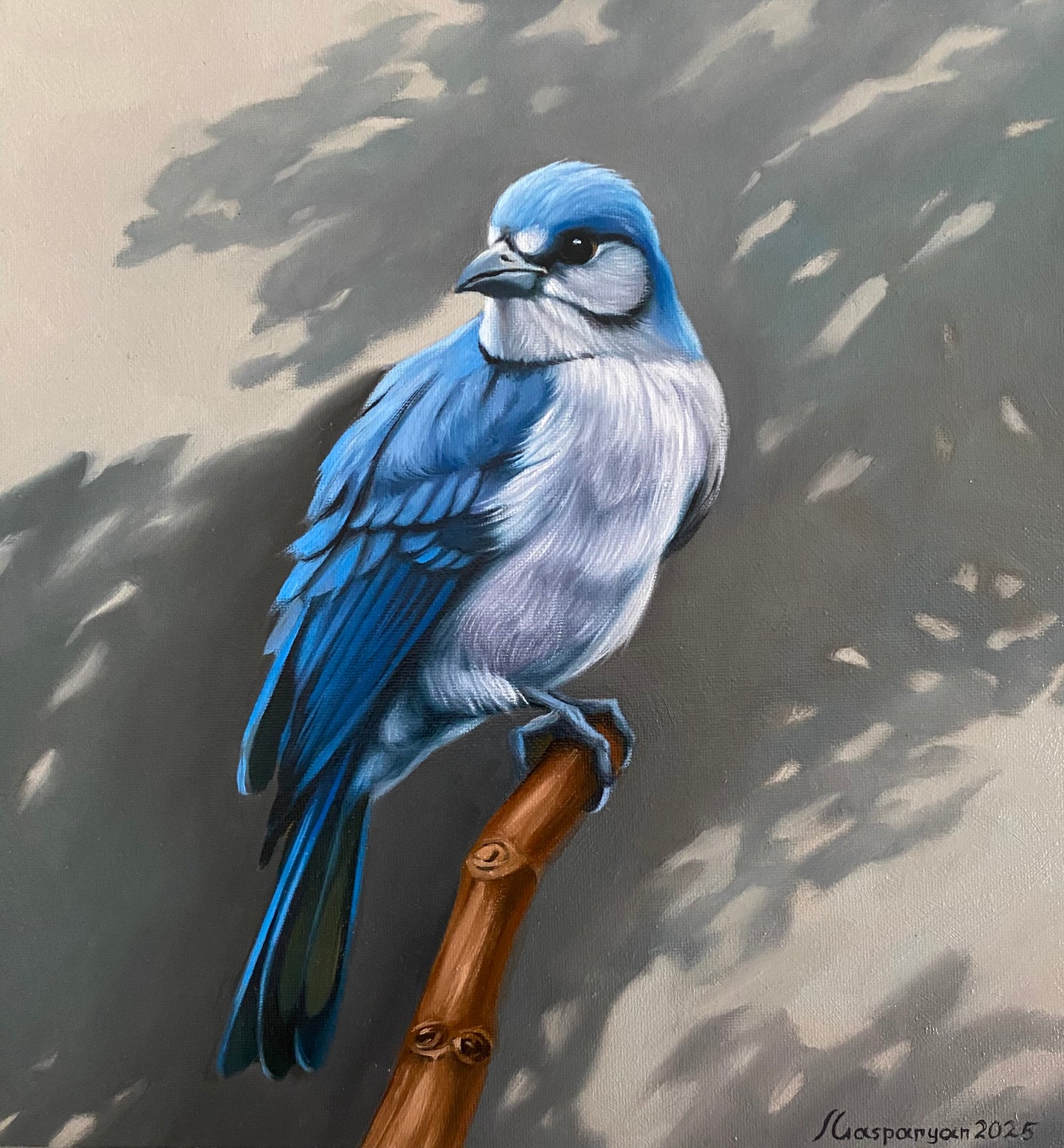 Blue Jay’s Vigil - Ara Gasparyan