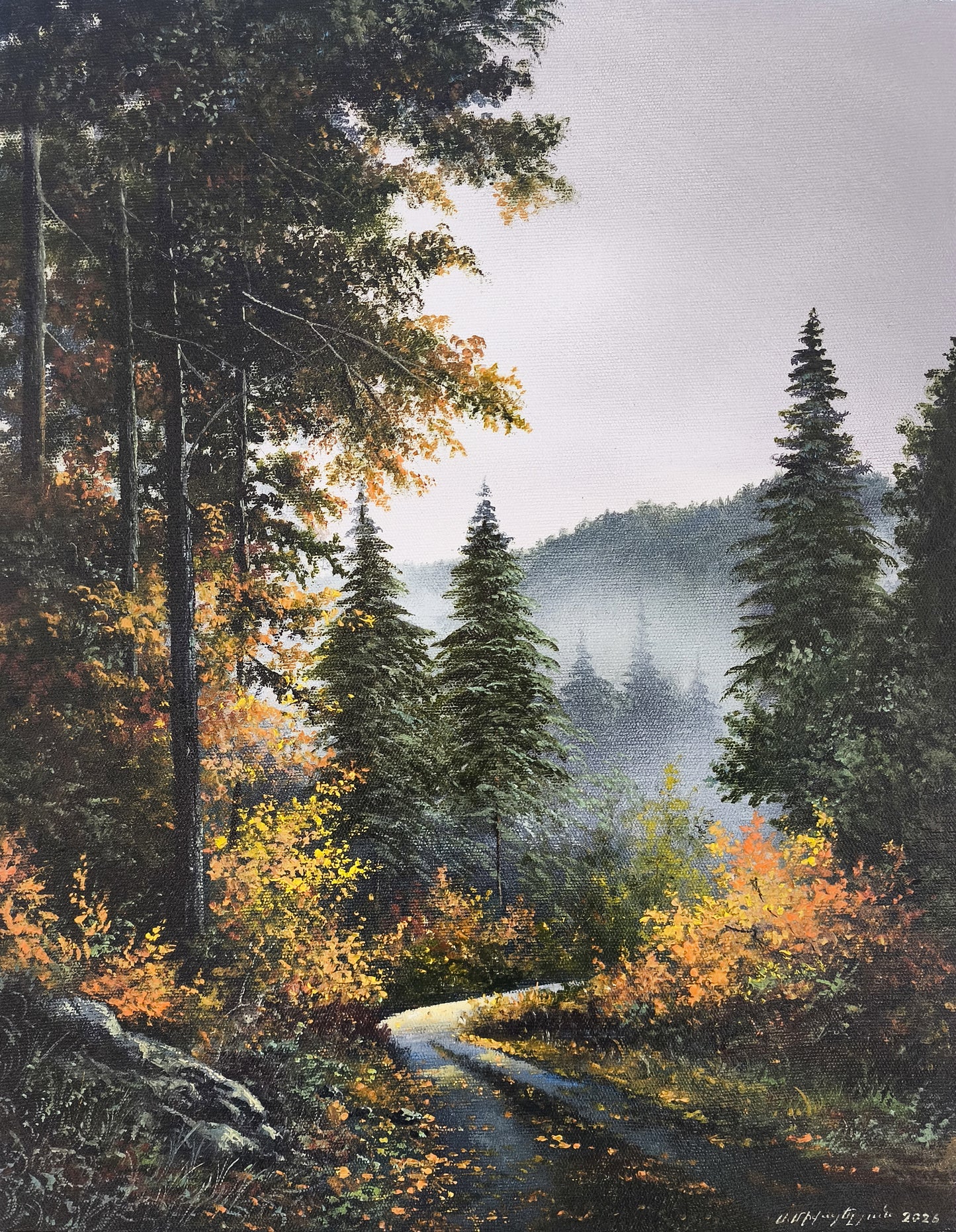 Pine Wood Path - Sergey Miqayelyan