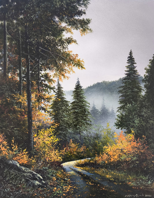 Pine Wood Path - Sergey Miqayelyan