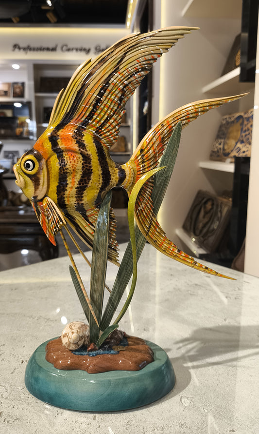 Coral Reef Angel - Hrachya Ohanyan
