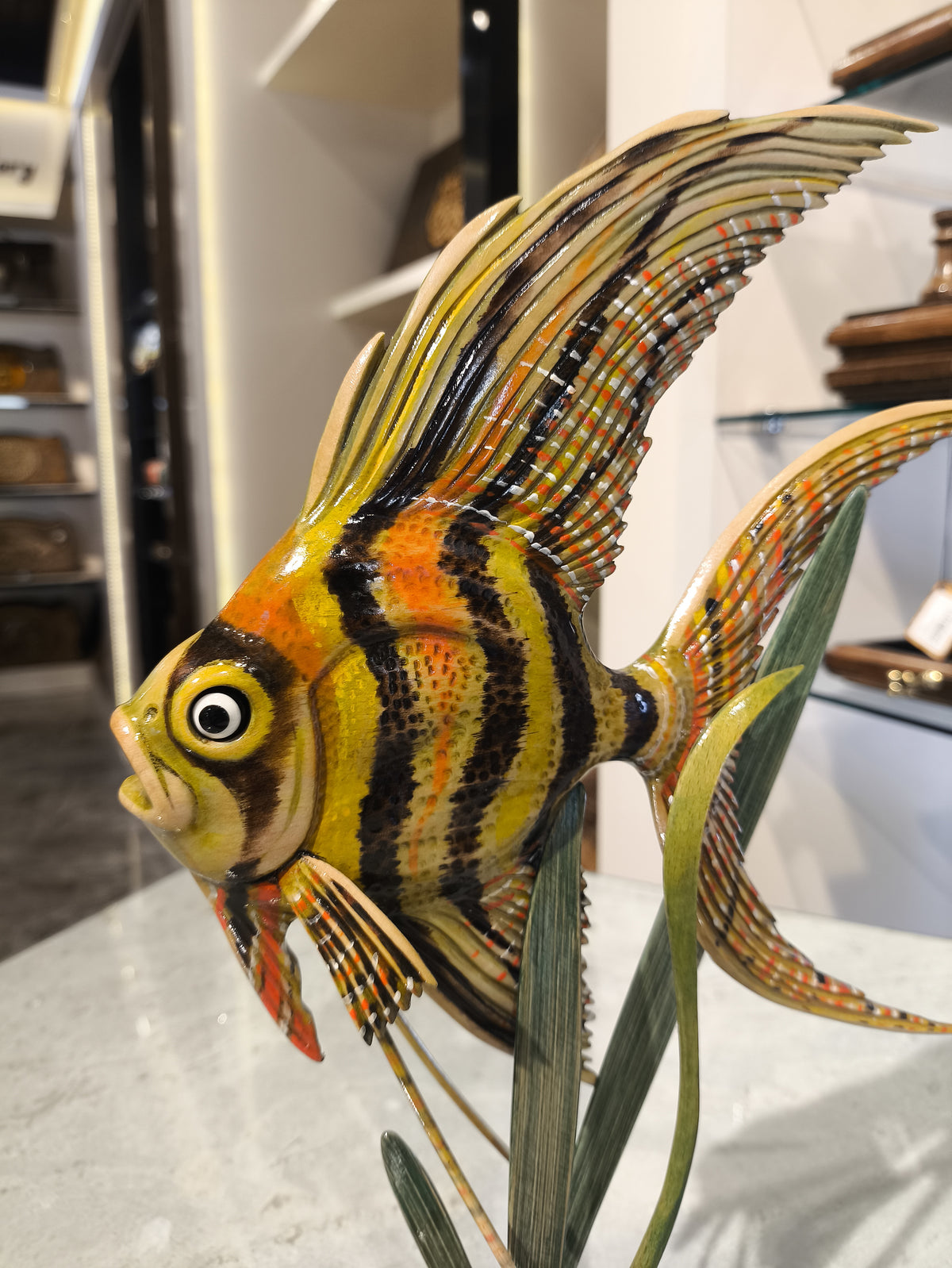 Coral Reef Angel - Hrachya Ohanyan