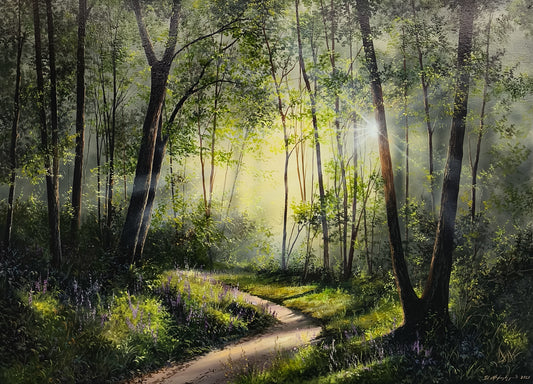 Sun-Kissed Path - Sergey Miqayelyan